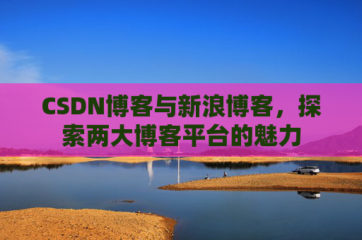 CSDN博客与新浪博客，探索两大博客平台的魅力